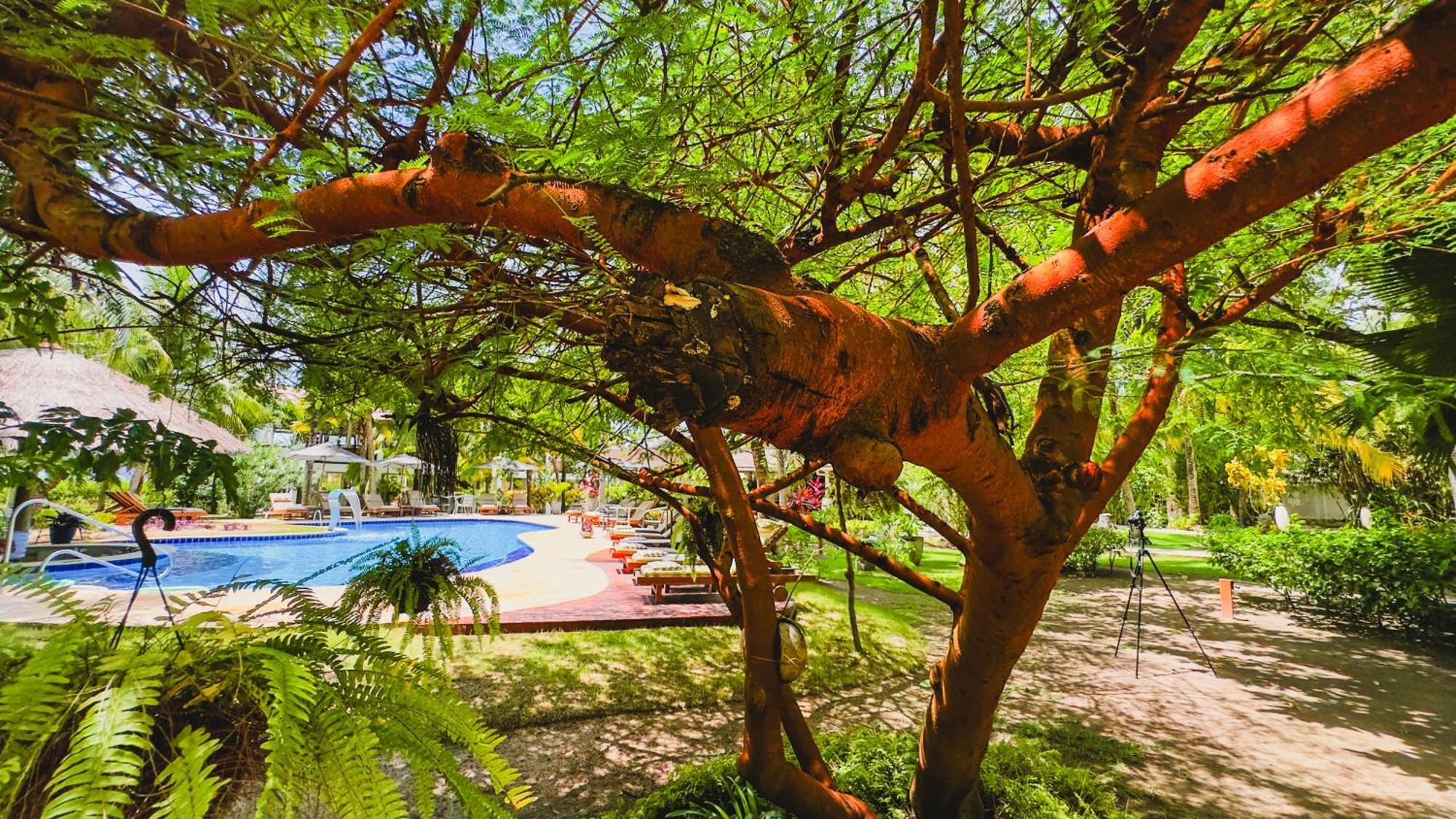Casa Acayu Hotel São Miguel dos Milagres Eksteriør billede